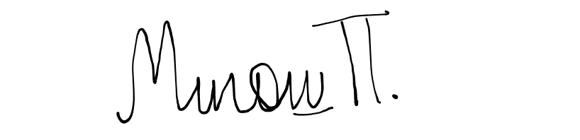 Milos Perisic signature
